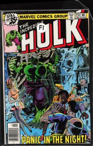 The Incredible Hulk #231 (1979) Hulk