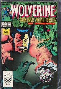 Wolverine #11 (1989) Wolverine