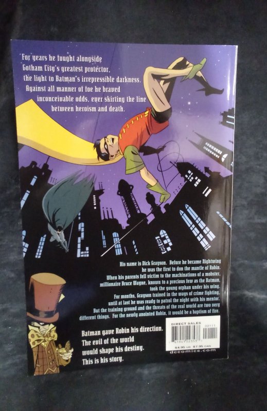 Robin: Year One #1 (2000)