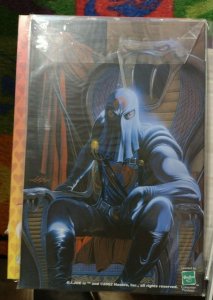 GI JOE A REAL AMERICAN HERO # 4  2002 IMAGE g.i. joe  painted back cover cobra