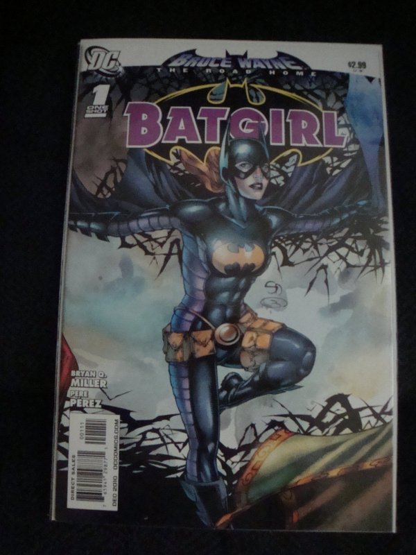 Bruce Wayne: Road Home - Batgirl (2010) DC Comics Stephanie Brown