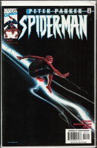 Peter Parker: Spider-Man #27 (2001) Spider-Man