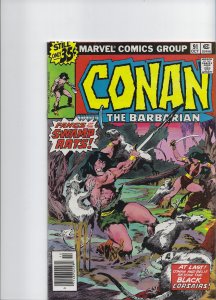 Conan the Barbarian #91 (1978)