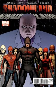 Shadowland #2 (2010) Daredevil
