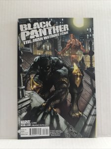 Black Panther The Man Without Fear #513