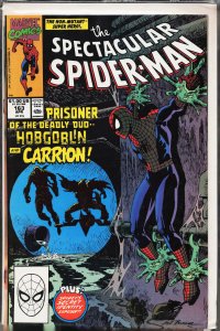 The Spectacular Spider-Man #163 (1990) Spider-Man
