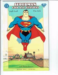 Superman For All Seasons COMPLETE DC Comics Ltd Ser # 1 2 3 4 Jeph Loeb TS J105