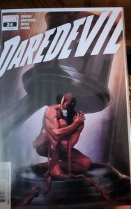 Daredevil #24 (2021)