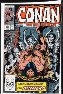 Conan the Barbarian #228 (1990) Conan