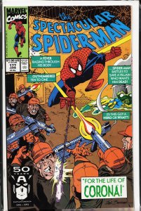 The Spectacular Spider-Man #177 (1991) Spider-Man
