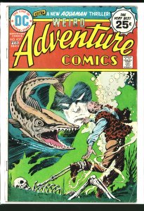 Adventure Comics #437 (1975)