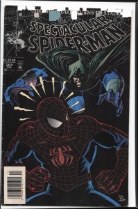 The Spectacular Spider-Man #207 (1993) Spider-Man