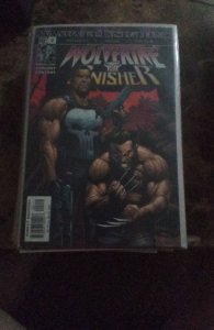 Wolverine/Punisher #2 (2004) Punisher 