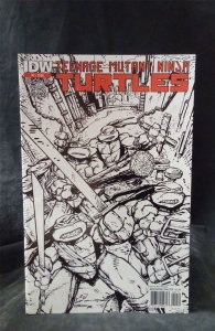 Teenage Mutant Ninja Turtles #2 Second Print Cover 2011 idw Comic Book