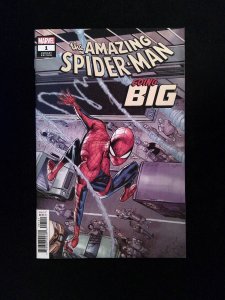 Amazing  Spider-Man Going Big #1B  MARVEL Comics 2019 NM-  CONWAY VARIANT