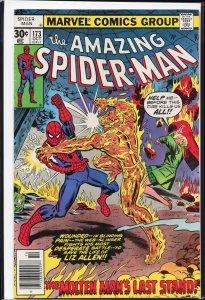 The Amazing Spider-Man #173 (1977) Spider-Man