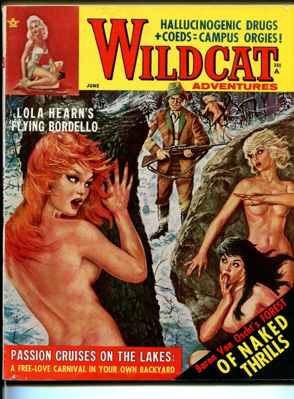 Wildcat Adventures 6/1964-cheesecake-hallucinogenics-Oreneck-pulp thrills-VF+