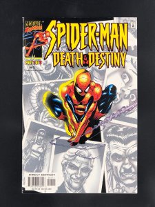 Spider-Man: Death and Destiny #1 (2000)