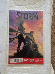 Storm #3 (2014)