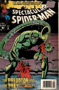 The Spectacular Spider-Man #215 (1994) Spider-Man