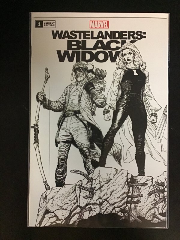 Wastelanders: Black Widow #1 B