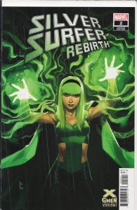 Silver Surfer Rebirth #2 Reis Cover (2022) Silver Surfer