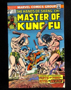 Master of Kung Fu #25