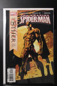 The Amazing Spider-Man #528 (2006)