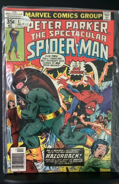 The Spectacular Spider-Man #13 (1977)