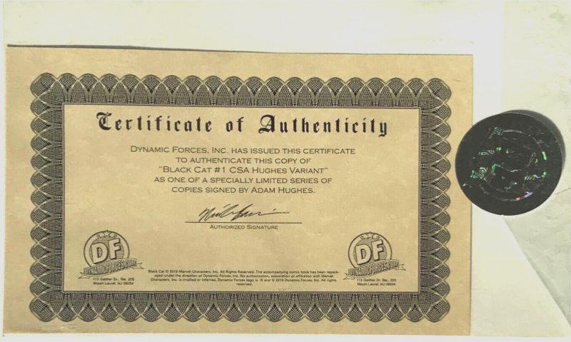 BLACK CAT #1 - ADAM HUGHES CSA EXCLUSIVE VARIANT - SIGNED ADAM HUGHES - W/DF COA