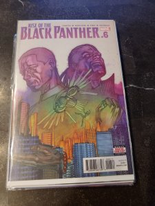 Rise of the Black Panther #6 (2018)