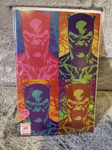 Black Panther 25 Fine Art Variant