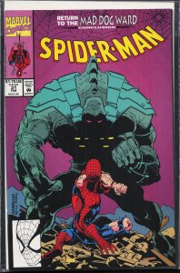 Spider-Man #31 (1993) Spider-Man
