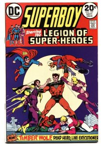 Superboy and the Legion of Super-Heroes #197 - 1973 - DC - FN - comic book