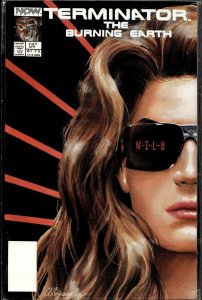 The Terminator: The Burning Earth #2 (1990) The Terminator