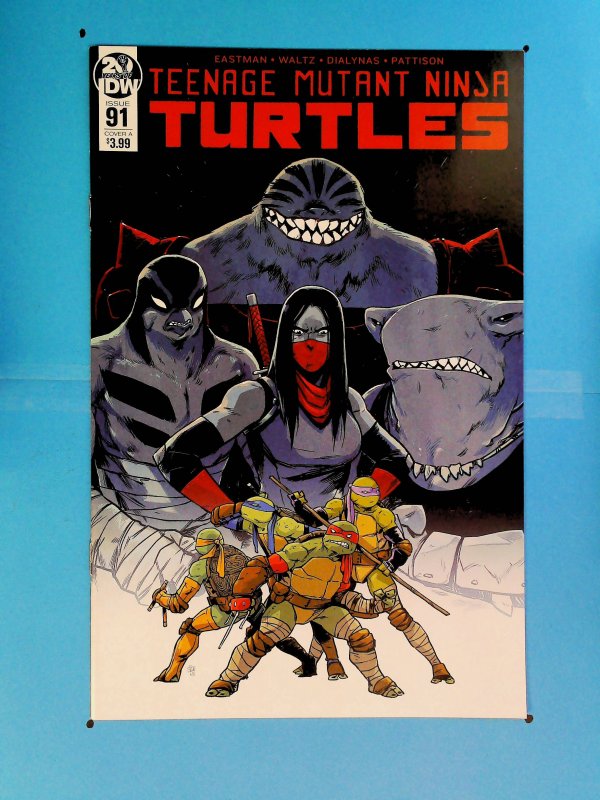 Teenage Mutant Ninja Turtles #91 (2019)