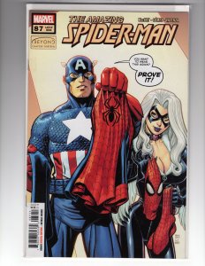 The Amazing Spider-Man #87 (2022)    / HCA2
