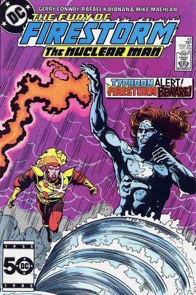 Fury of Firestorm (1982 series) #43, NM- (Stock photo)