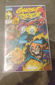 Ghost Rider #16 Direct Edition (1991)