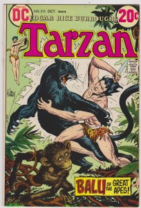 Tarzan #213