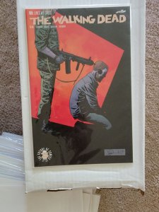 The Walking Dead #169 (2017)