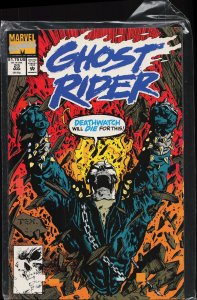 Ghost Rider #23 (1992) Ghost Rider