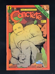Concrete #1 (1987) First Solo Series Featuring Concrete