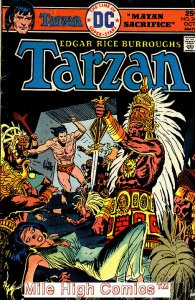 TARZAN (1972 Series)  (DC) #242 Fine Comics Book