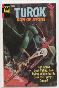 Turok, Son of Stone #104 (1976)
