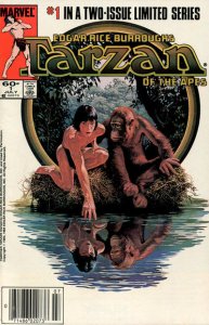 Tarzan of the Apes #1 (Newsstand) FN ; Marvel