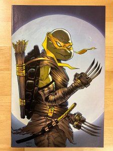 Teenage Mutant Ninja Turtles #98 Oasas Comics Cover B (2019)