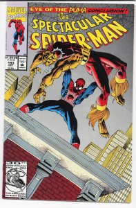 The Spectacular Spider-Man #191 (1992) Spider-Man
