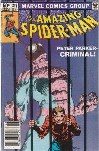 The Amazing Spider-Man # 219 VF Marvel 1981 Peter Parker Criminal [T7]