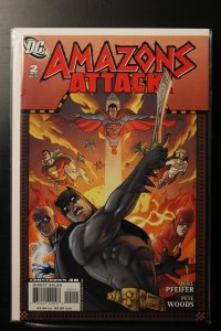 Amazon Attacks #2 (2007)